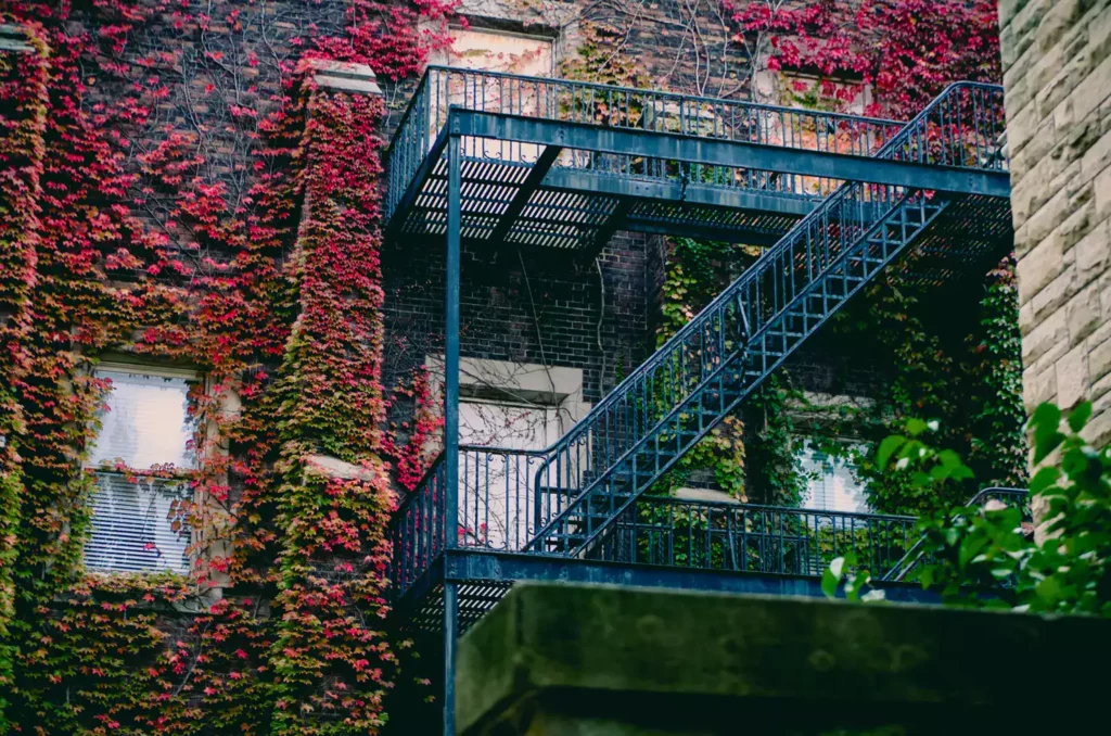 Gestion Locative en Automne, Optimisez en Toute Sérénité