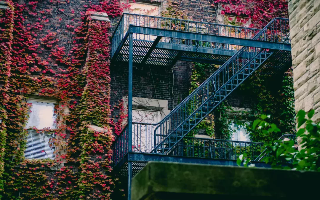 Gestion Locative en Automne, Optimisez en Toute Sérénité
