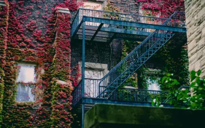 Gestion Locative en Automne, Optimisez en Toute Sérénité