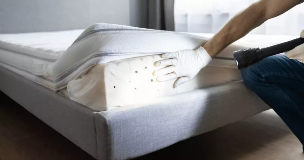 Punaises de Lit à Paris : des Experts à Votre Service