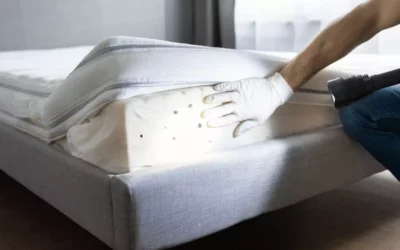 Punaises de Lit à Paris : des Experts à Votre Service