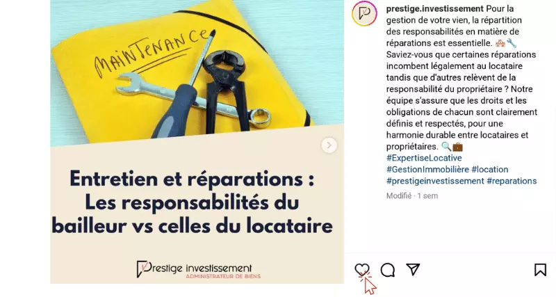 Entretien et reparation prestige investissement